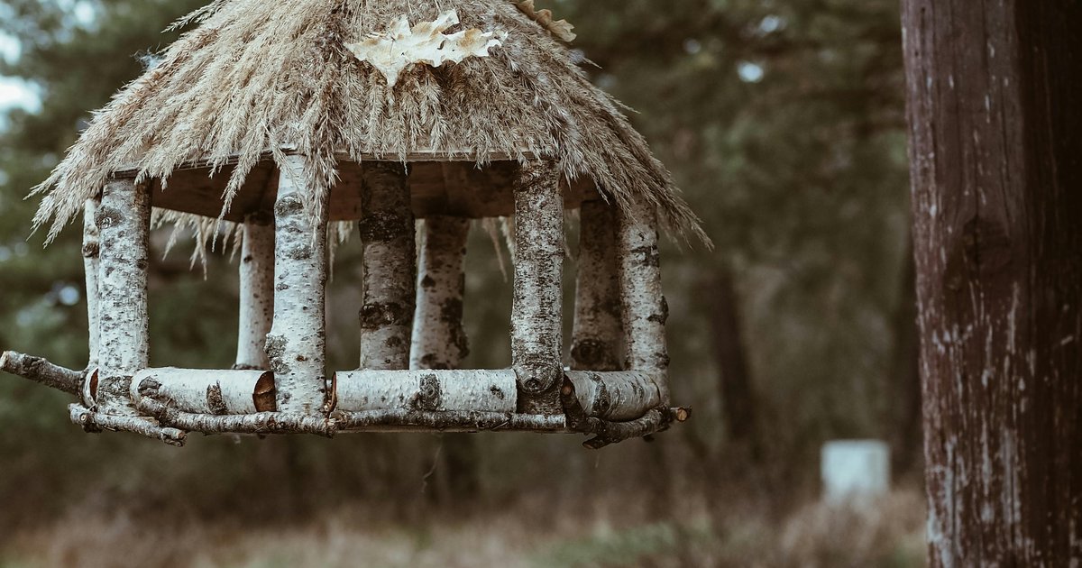 DIY karmnik dla ptaków - projekt ekologiczny dla całej rodziny